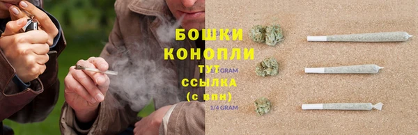 кокс Белокуриха