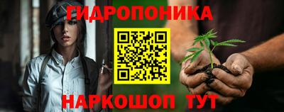 гидропоника Камышлов