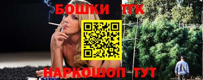 гидропоника Камышлов
