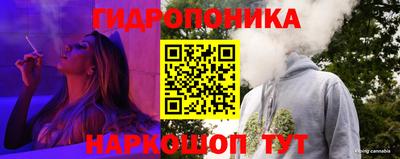 гидропоника Камышлов