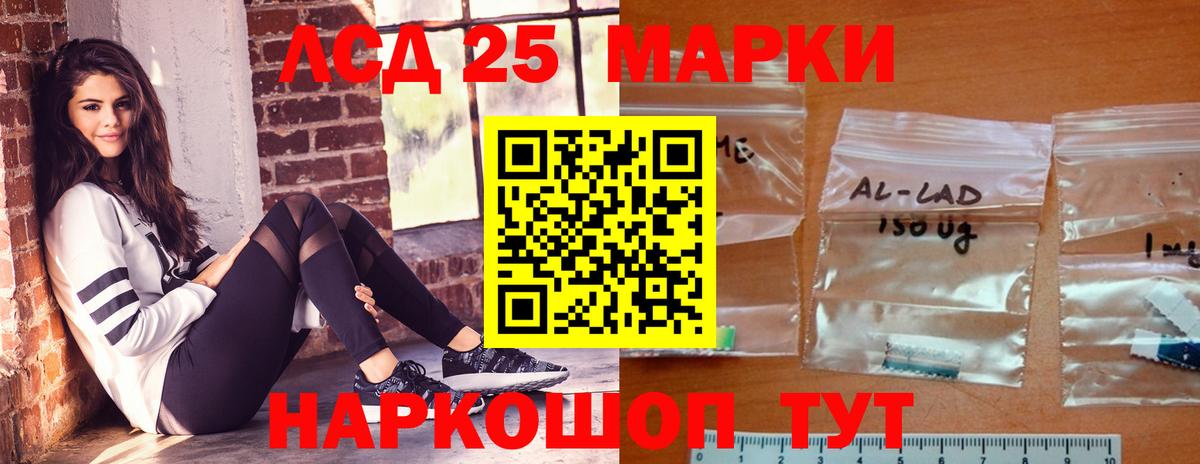 A PVP Дальнегорск