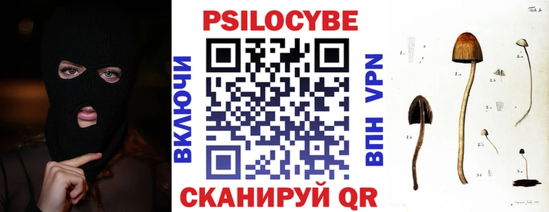 hydra как войти Дальнегорск Галлюциногенные грибы MAGIC MUSHROOMS