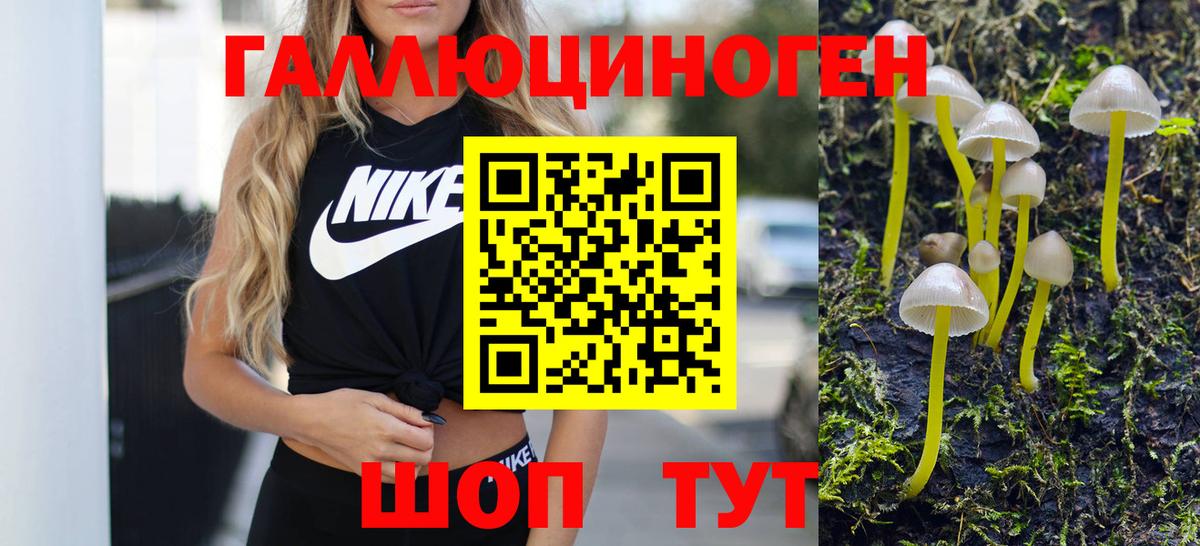 Псилоцибиновые грибы Psilocybe Дальнегорск