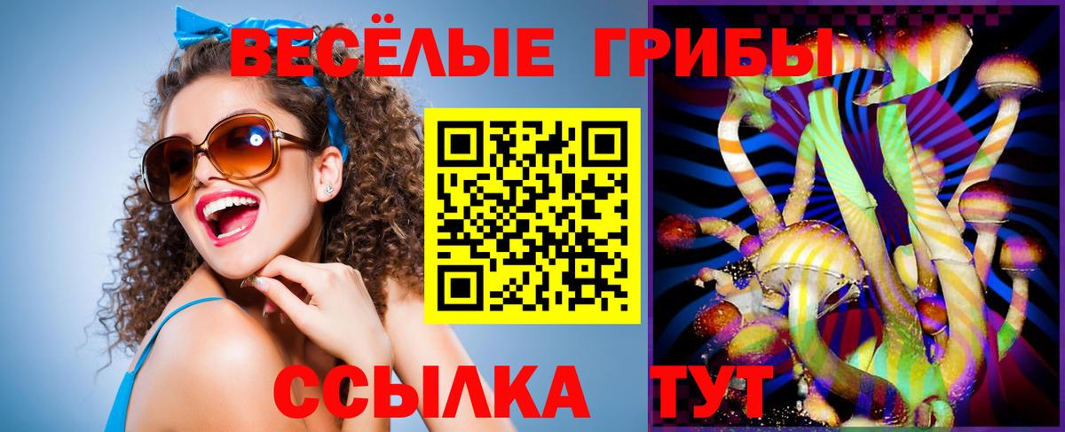 Галлюциногенные грибы Psilocybine cubensis  Вход с VPN  Дальнегорск 