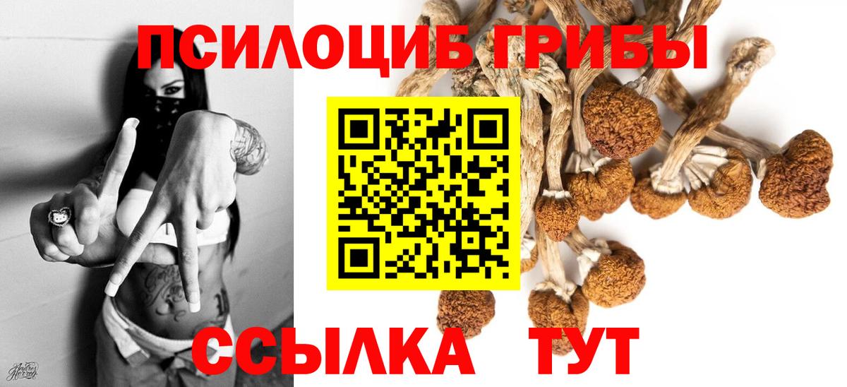 Псилоцибиновые грибы Psilocybe  наркошоп  Дальнегорск 