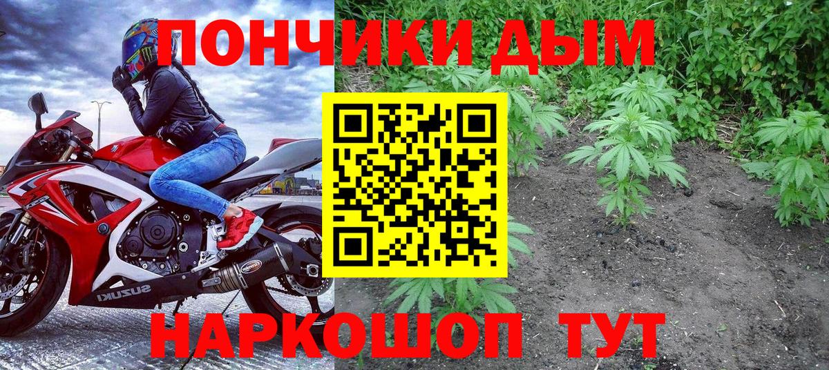 Шишки марихуана семена  Шишки марихуана план  Дальнегорск  Канабис Bruce Banner  Канабис индика 